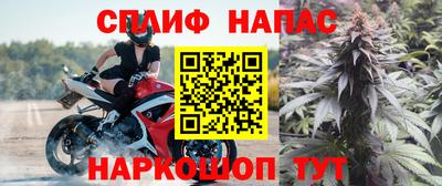 a pvp Гусев