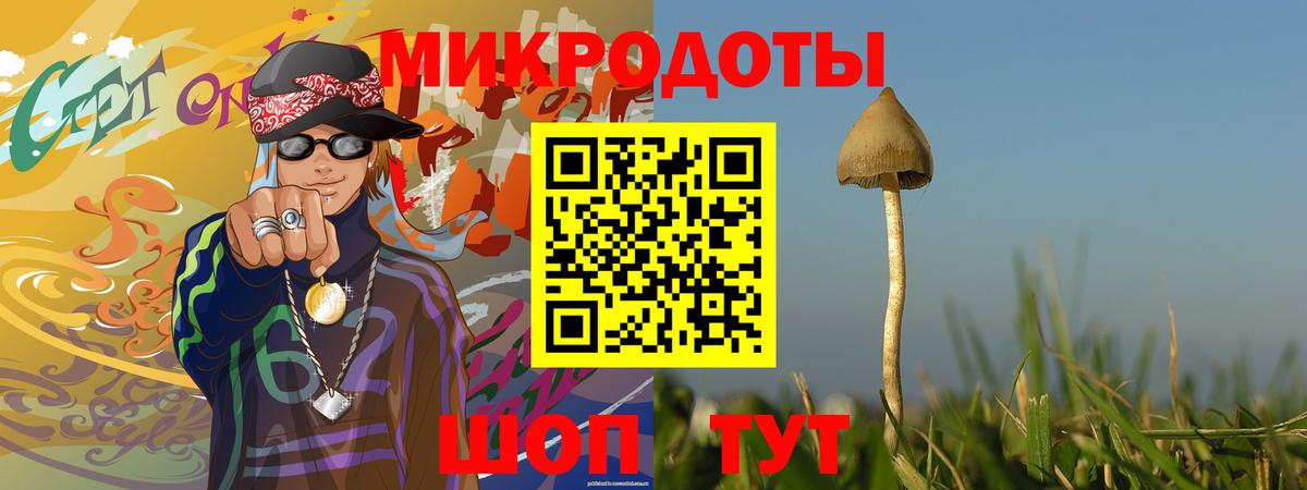 Псилоцибиновые грибы прущие грибы  купить наркоту  Мурманск  Галлюциногенные грибы Cubensis  Вход с VPN 