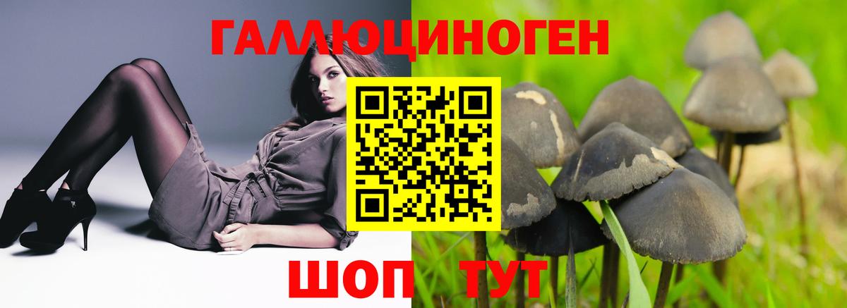 Мурманск  МЕТ  Вход с VPN  Вейп ТГК  ГАШ  МЕФ кристаллы  Экстази  COCAIN 